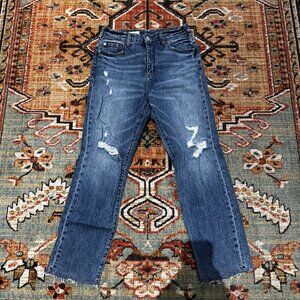 Anthropologie Pilcro and The Letterpress The Vintage Straight, Size 29